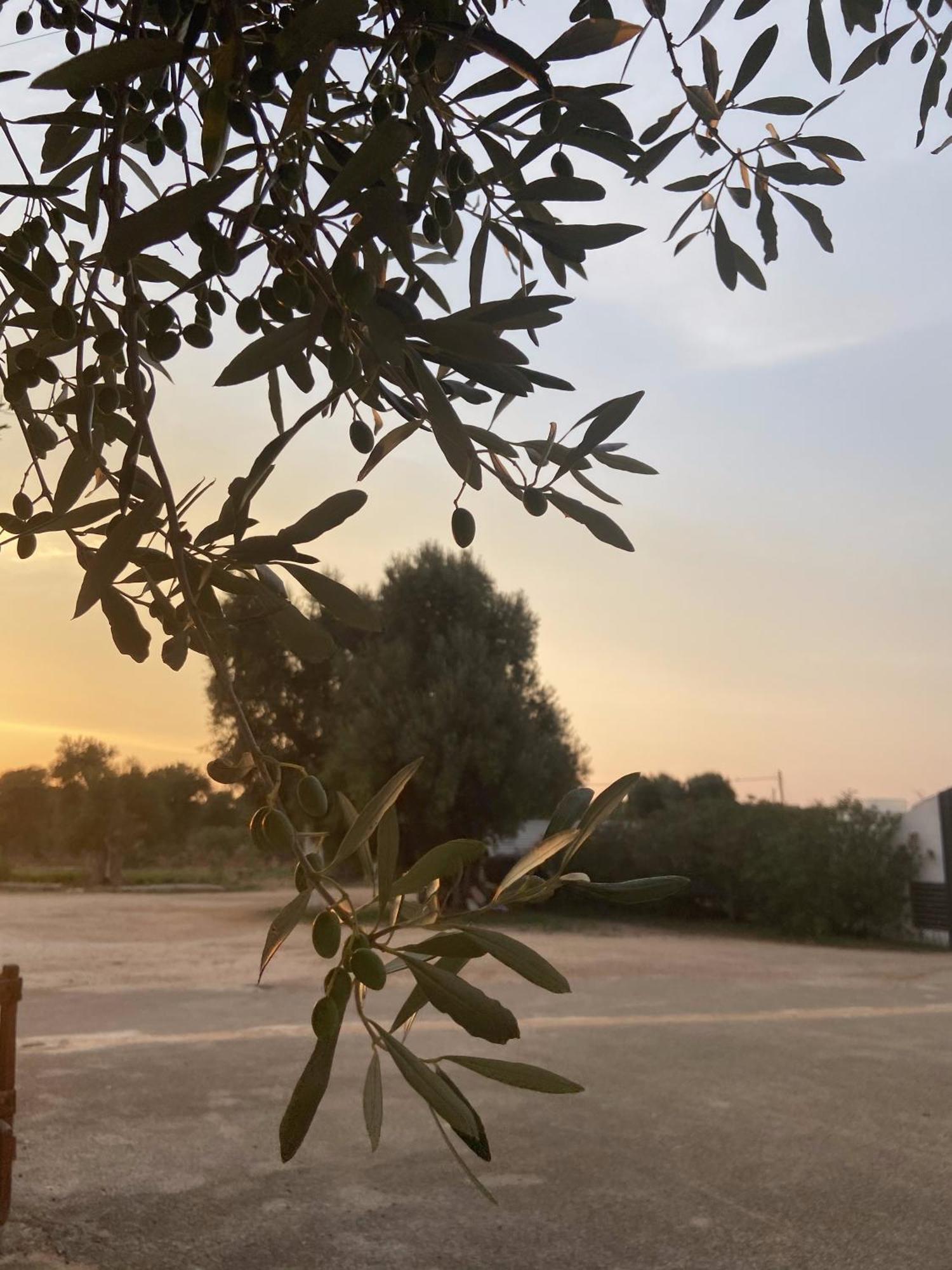 Masseria Conca D'Oro Ostuni Exterior foto